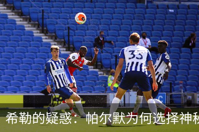 希勒的疑惑：帕尔默为何选择神秘“隐退”？