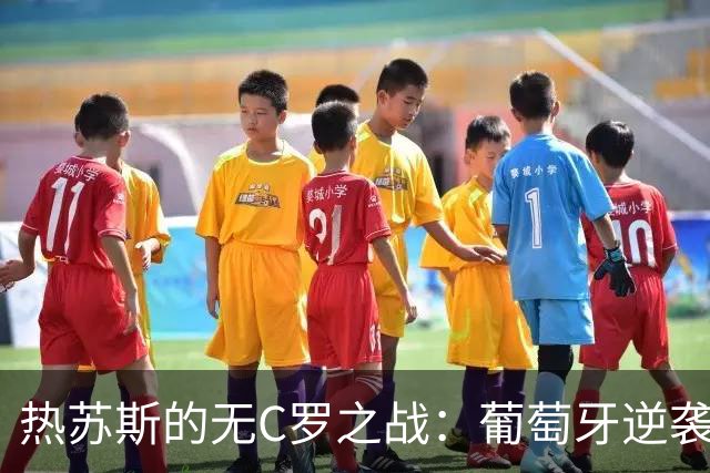 热苏斯的无C罗之战：葡萄牙逆袭挪威的秘笈