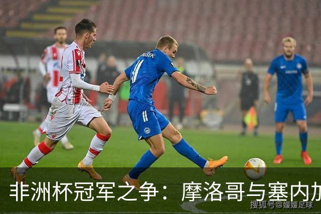 非洲杯冠军之争：摩洛哥与塞内加尔的法律大战即将上演